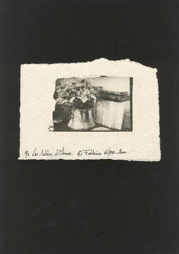 Emulsion sur papier